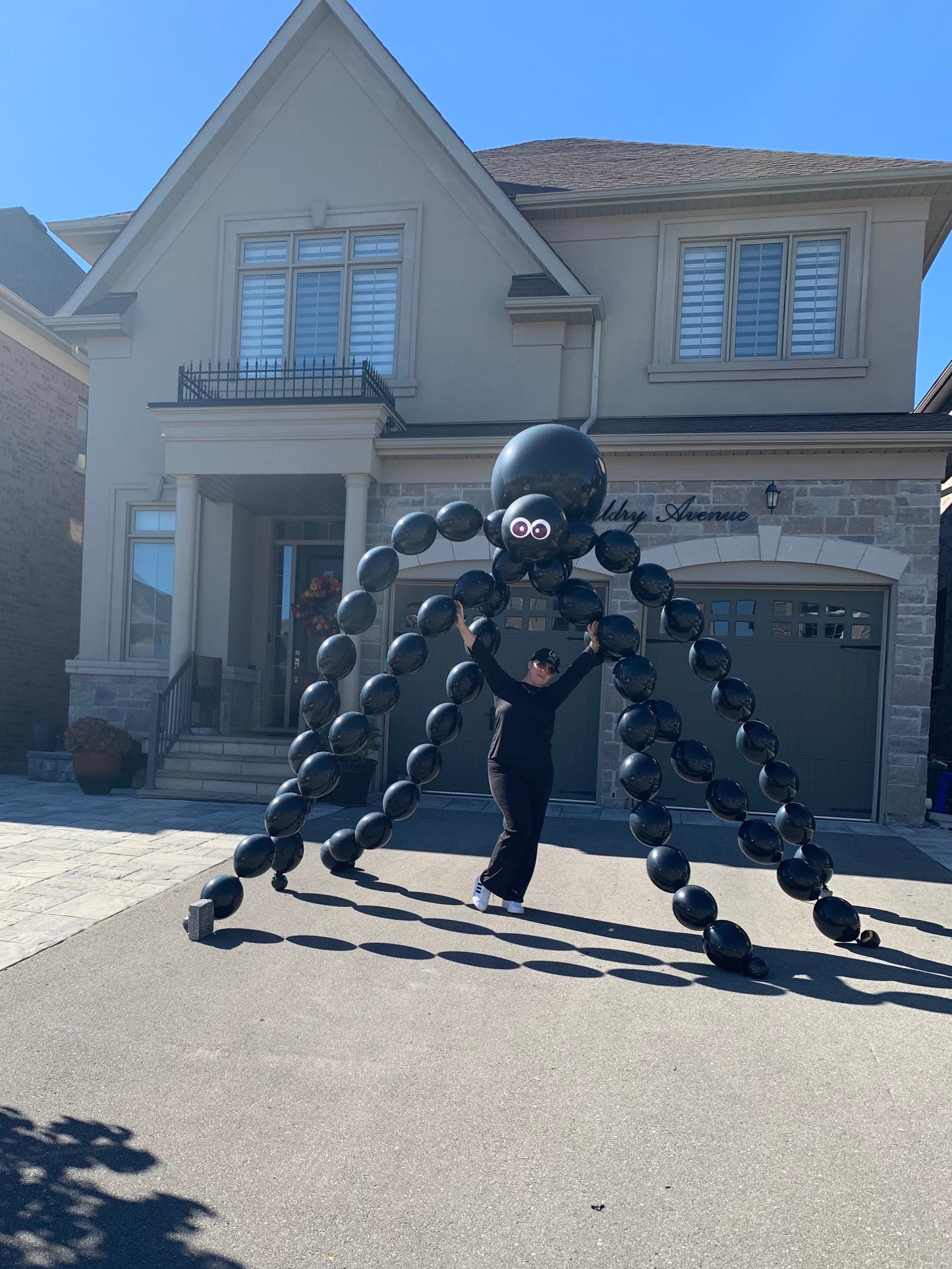Giant Spider