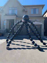 Load image into Gallery viewer, Giant Spider
