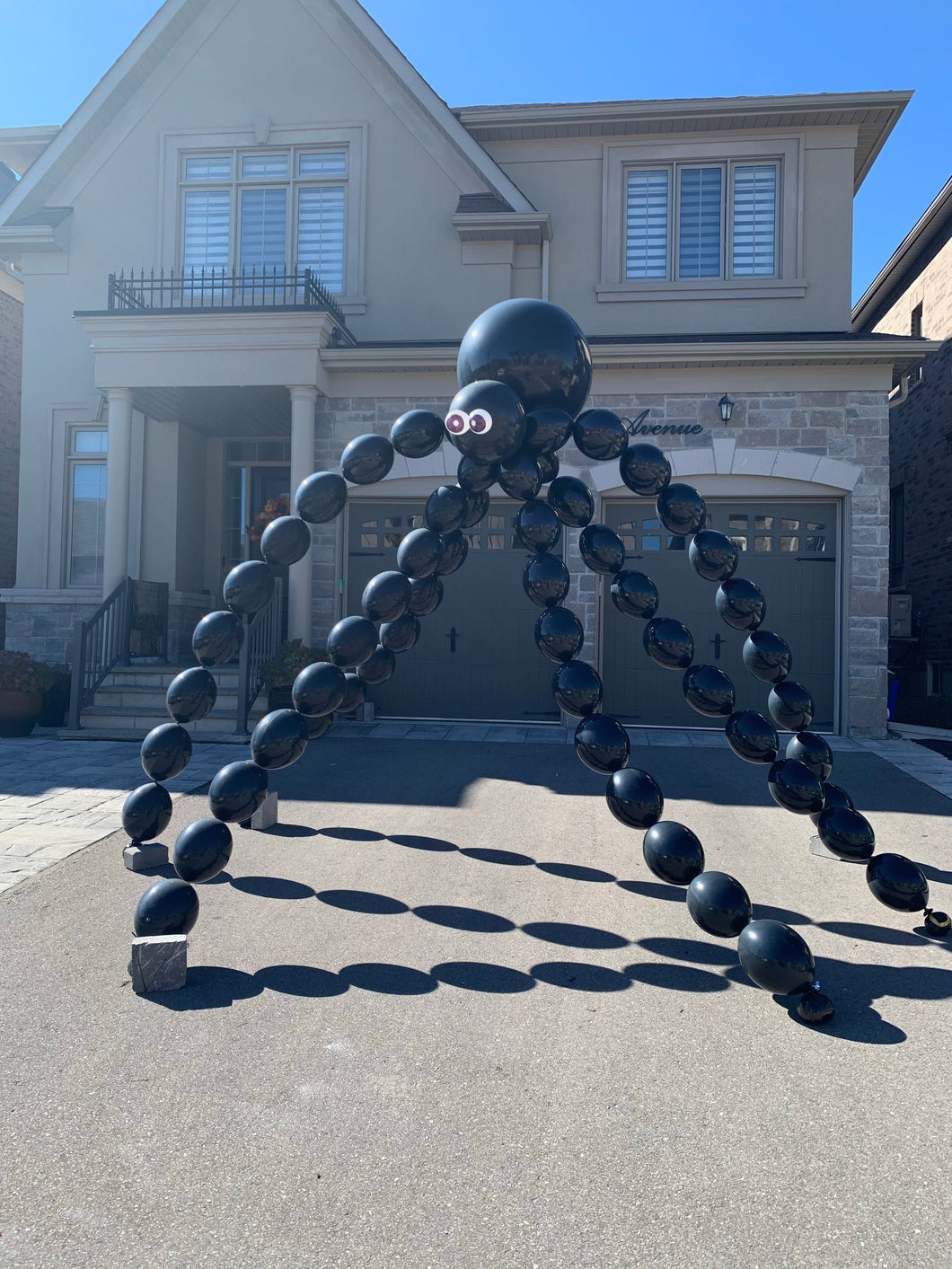 Giant Spider